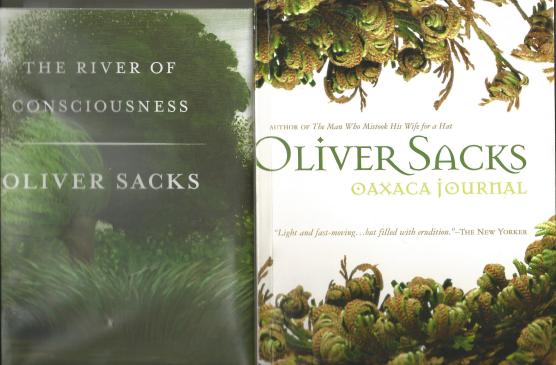 26 River of Consciousness-Oaxaca J