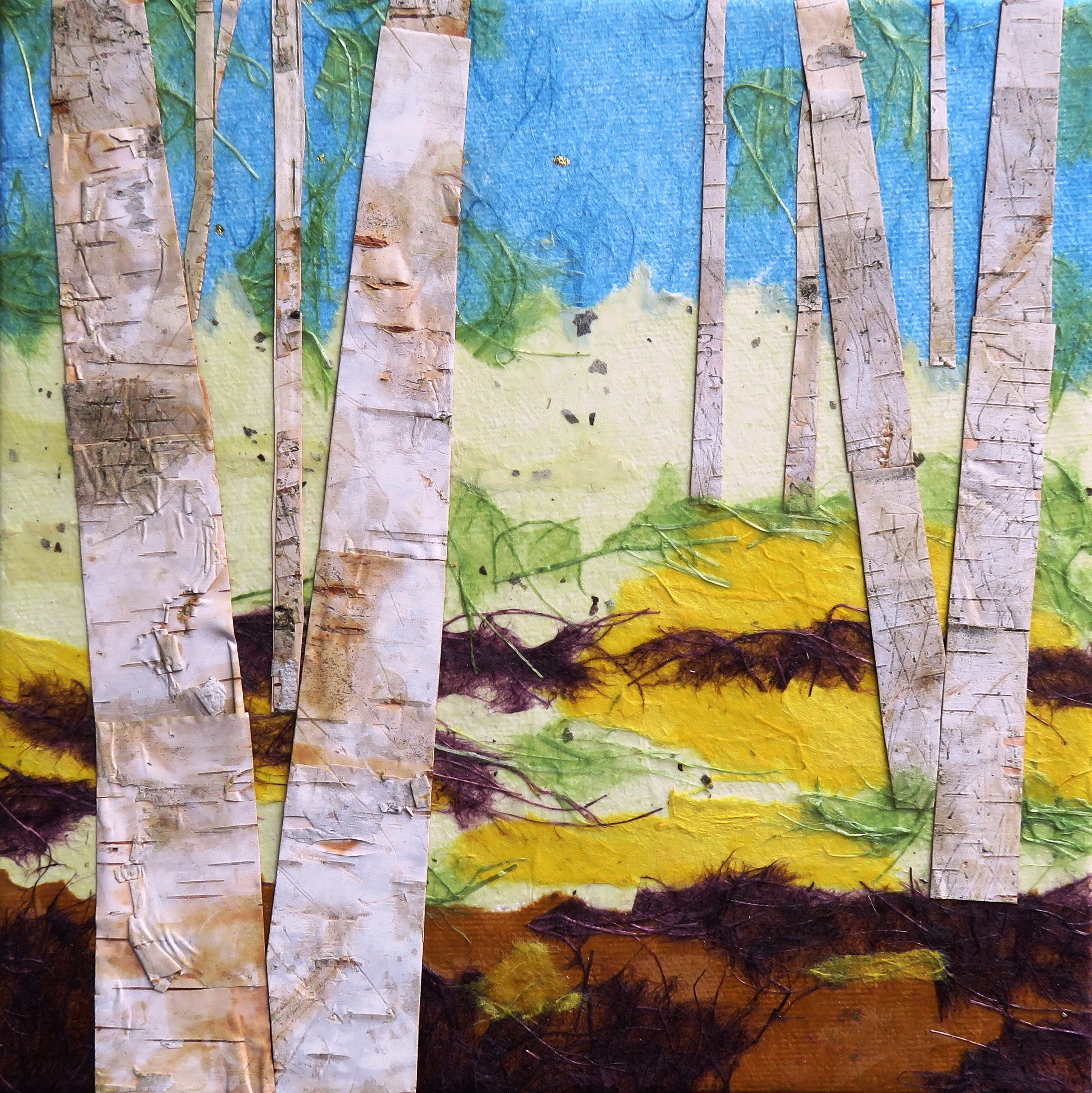 Birch 2